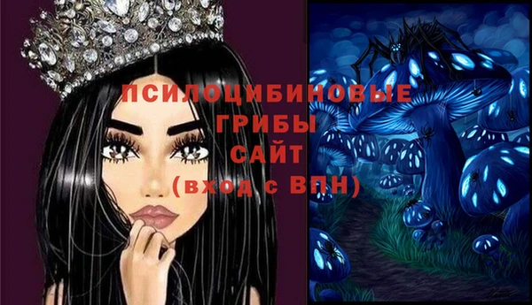 соль ск Балахна