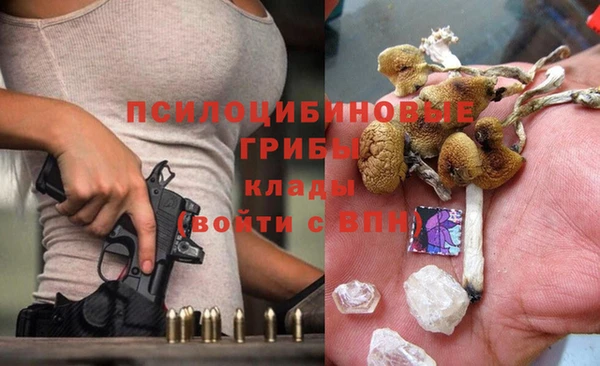 соль ск Балахна