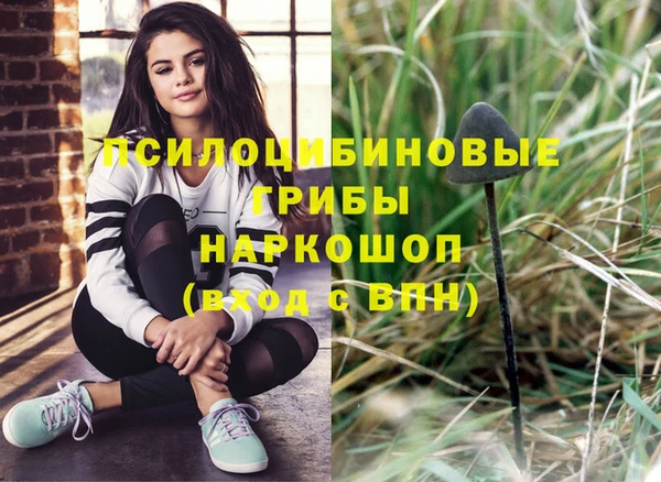 соль ск Балахна