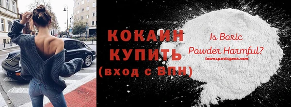 гашик Ельня