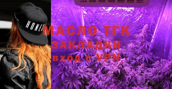 гашик Ельня