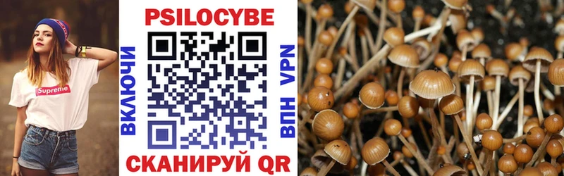 магазин    Сретенск  Псилоцибиновые грибы GOLDEN TEACHER 